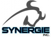 Les Promotions Synergie Inc. Les Promotions Synergie Inc.